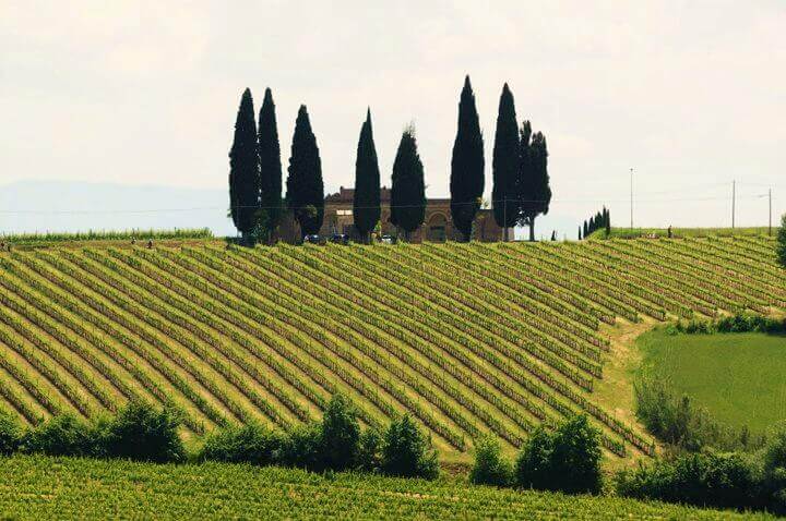 Ecomuseo del Tevere Perugia Umbria Italia Paesaggio Collina Alberi