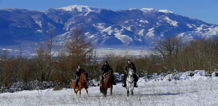 Centro Ippico Scuderie del Peschio San Giuliano del Sannio Campobasso CB Molise Italia Cavalli Neve