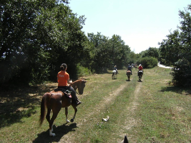 Centro Ippico Scuderie del Peschio San Giuliano del Sannio Campobasso CB Molise Italia Staff