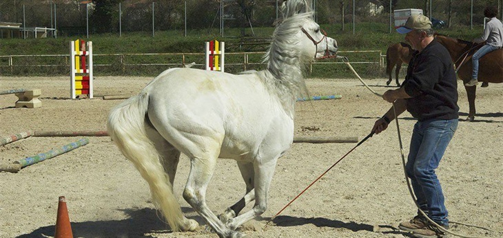 Centro Ippico La Badia Cantiano Pesaro Urbino PU Marche Italia Cavallo