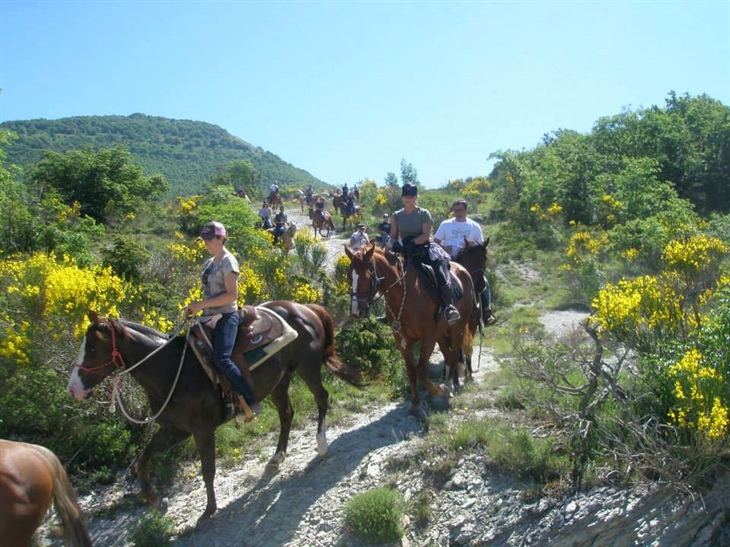 Centro Ippico La Badia Cantiano Pesaro Urbino PU Marche Italia Cavalli Natura