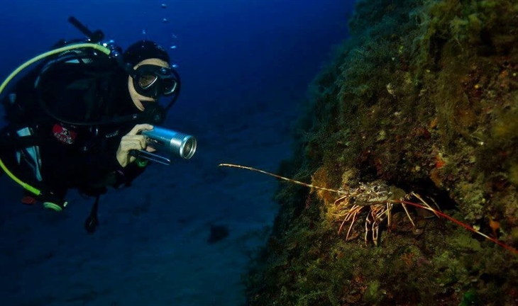 Centro Immersioni Diving in Elba Isola d Elba Livorno LI Toscana Italia Subacqueo