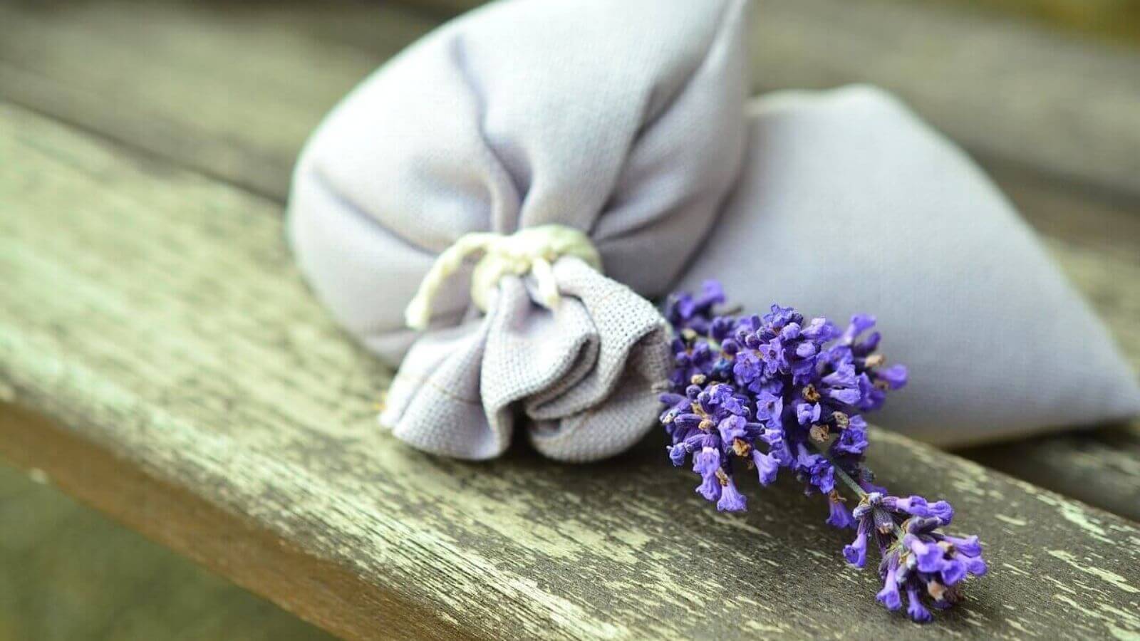 Aromaterapia - Sacchettini con fiori di lavanda