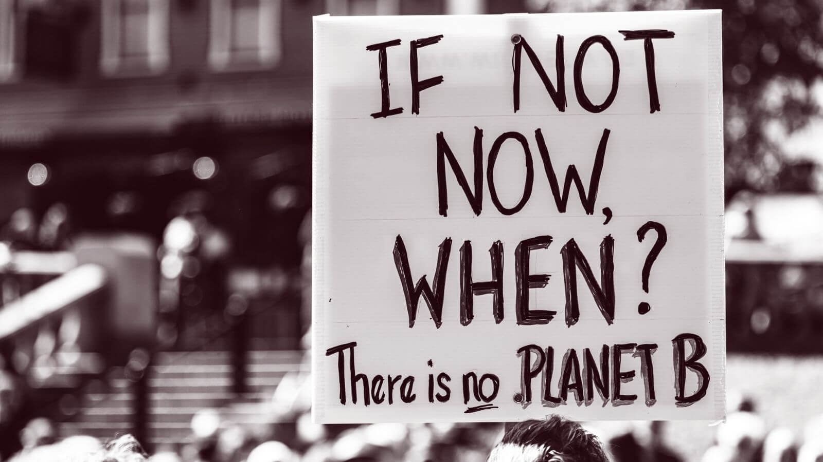 Eco-ansia - There's no planet B
