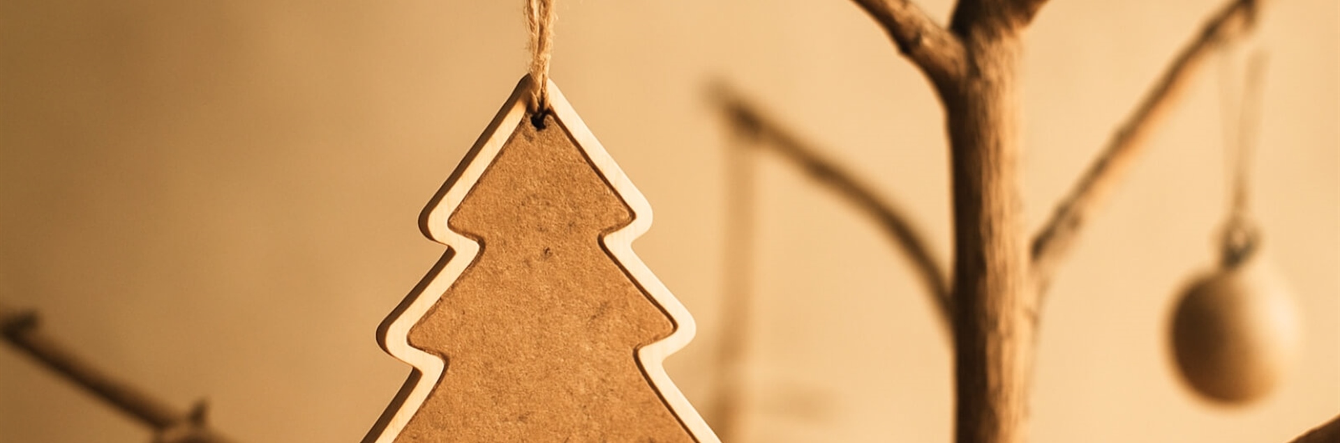 How to make a sustainable Christmas tree