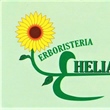Herbalist Shop Helianthus