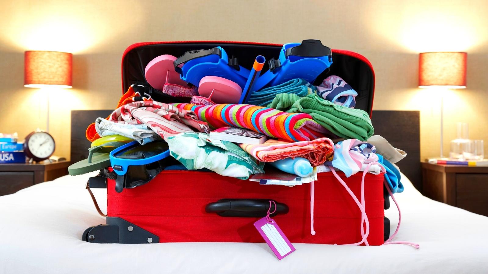30 Sacchetti per Vestiti Plastica Richiudibili Valigia Viaggio per Riporre  Biancheria Sacchetti Viaggio Organizer